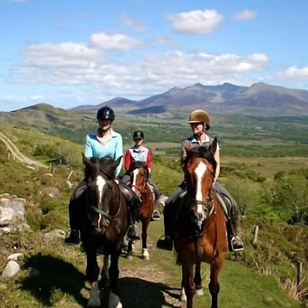 Bed & Breakfast Tatler Jack 3*