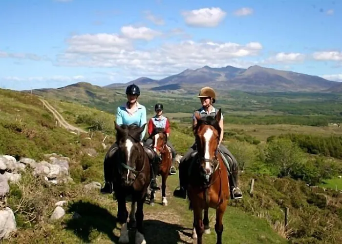 Bed & Breakfast Tatler Jack 3*