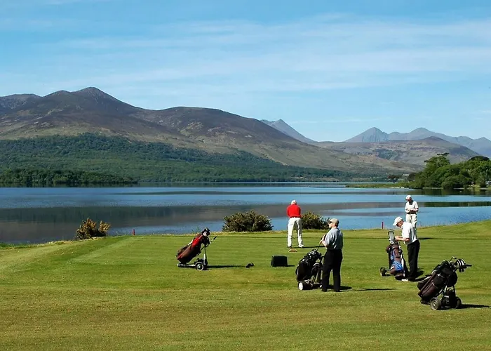 Tatler Jack Killarney