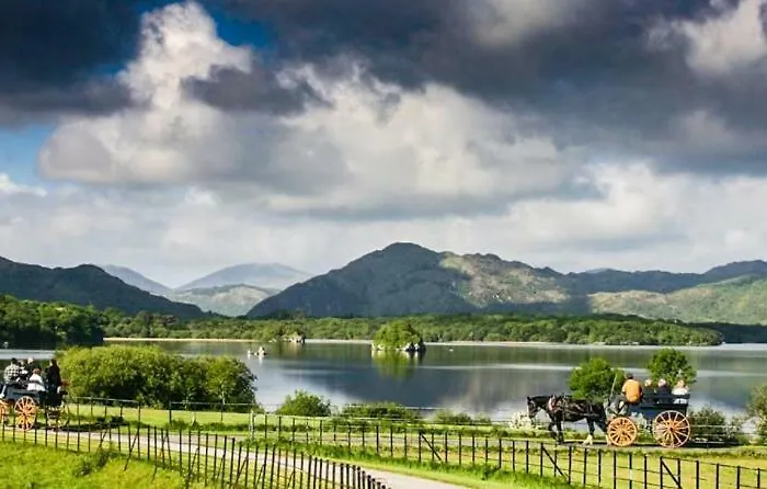 Tatler Jack 3* Killarney